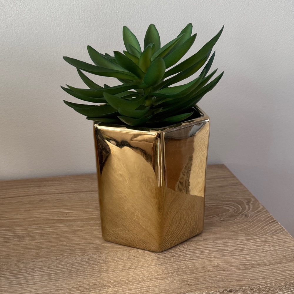 Target Project 62 Gold Planter with Faux Succulent
